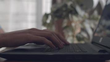 gros plan des mains tapant le chat sur un clavier d'ordinateur portable. video