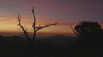 schöner sonnenaufgang sommertag naturhintergrund. video