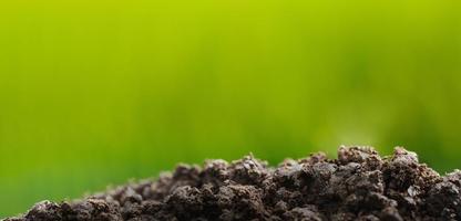 Soil on greenery background photo