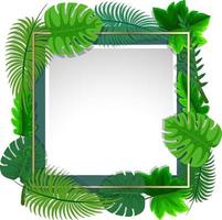 Square frame with tropical green leaves vector