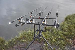 Carp fishing rods standing on special tripods. Expensive coils and a radio system of crochet photo