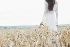 Young sensitive girl in white dress posing in a field of golden wheat photo