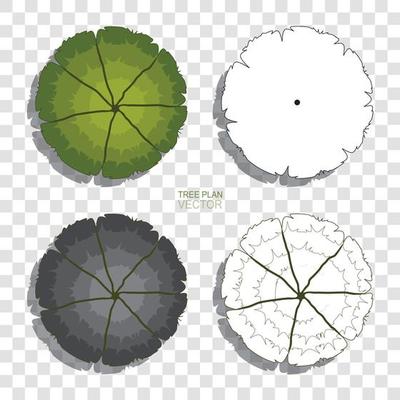Tree plan. Abstract drawing sketch for landscape design. Vector.