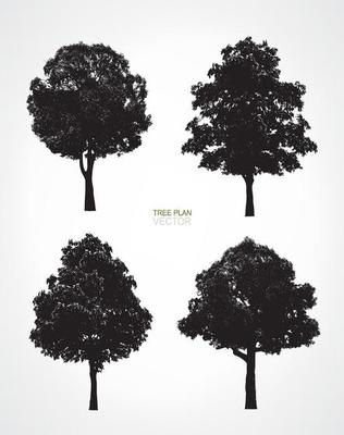 Set of tree silhouettes isolated on white background for landscape design and architectural decoration. Vector.