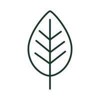 leaf ecology icon