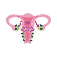 uterus and flowers vector