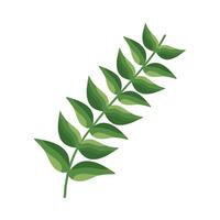 branch with leafs vector