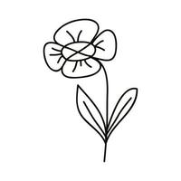 flower and foliage drawn vector