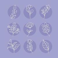 nine floral drawns icons vector