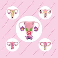 five uterus with flowers vector