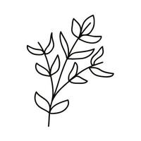 branches and leafs vector