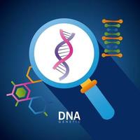 dna and magnifying vector