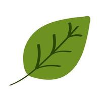 organic leaf icon vector