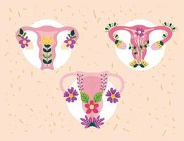 three uterus with flowers vector