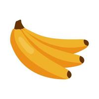 fresh bananas fruits vector