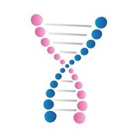 dna blue and pink vector