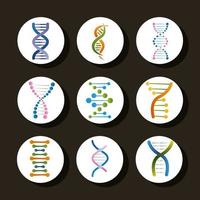 nine dna icons vector