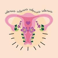 uterus and letterings vector