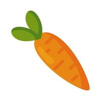 fresh carrot vegetable vector