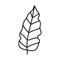eco leaf drawn vector