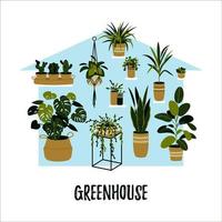 Potted plants growing in a greenhouse. Home garden concept. Vector illustration in a flat style