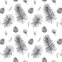 Hand drawn Christmas seamless pattern with pine tree branches and cones isolated on white background. Vector illustration in sketch style