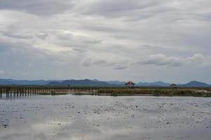 Bridge on the lake, natural background photo