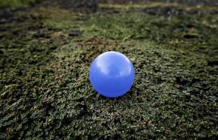 Blue ball on the grass photo