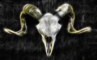 Goat skull with horns photo