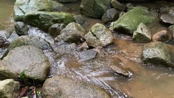 El agua clara fluye hacia abajo a través de piedras dispersas y conduce a una pequeña caída de agua.