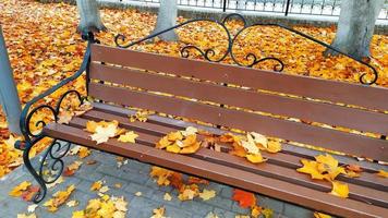 Bench in a city park in autumn. Fallen yellow leaves. Bright autumn. Autumn scene. Indian summer. photo