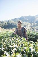 Happy Young Woman on Tea Plantation photo