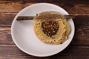 macro bee and honeycomb nature photo