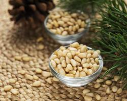 Pine nuts on table photo