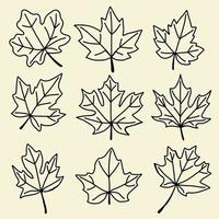 Collection of simplicity maple leaf freehand drawing flat design. vector