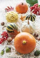 Autumn composition,  cozy fall season,  pumpkins and leaves photo