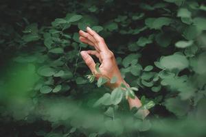 Woman hand against green leaf background photo