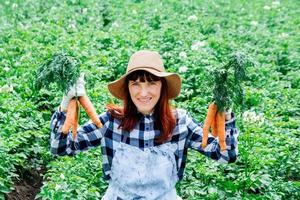 Woman farmer holds a bunch of carrots on background vegetable garden photo