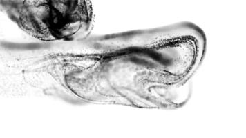 partículas de líquido preto fumaça fundo abstrato vídeo grátis