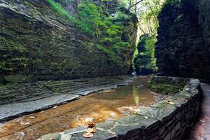 Watkins Glen State Park photo