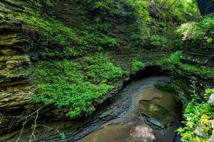 Watkins Glen State Park photo