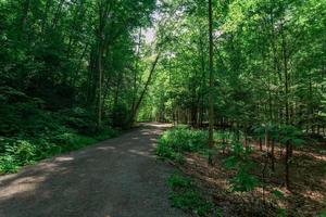 Taughannock Falls - Gorge Trail photo