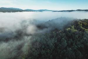 niebla de la mañana en el bosque desde arriba foto