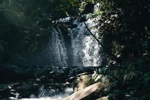 Waterfall in a tropical forest in the daytime photo