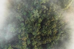 Morning fog in the forest from above photo