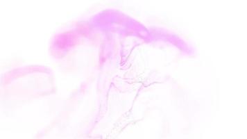 Pink Liquid spreading over white background video free download