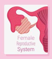 sistema reproductivo humano femenino, fisiología de la mujer salud vector