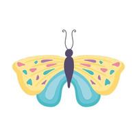 colored butterfly cartoon vector