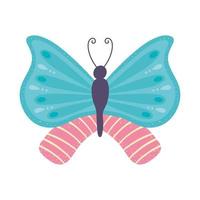 butterfly insect cartoon vector