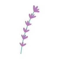 flowers branch nature vector